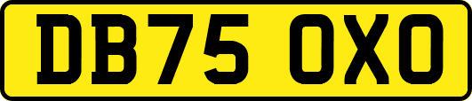 DB75OXO