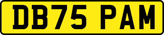 DB75PAM