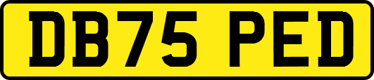 DB75PED