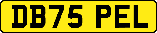 DB75PEL