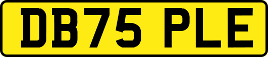 DB75PLE