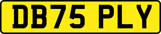 DB75PLY
