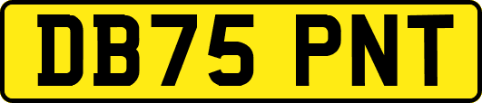 DB75PNT