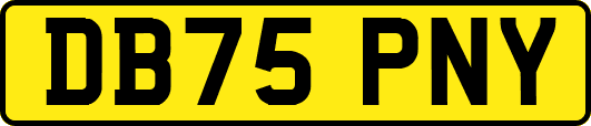 DB75PNY
