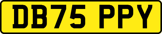 DB75PPY