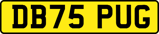 DB75PUG