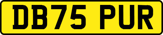 DB75PUR