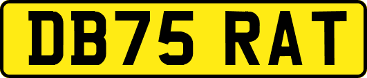DB75RAT