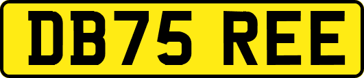 DB75REE