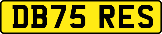 DB75RES
