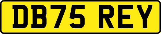 DB75REY
