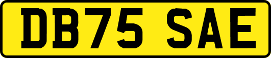 DB75SAE