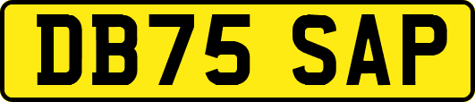 DB75SAP