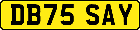 DB75SAY