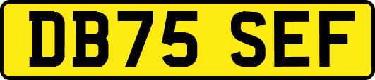 DB75SEF