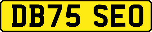 DB75SEO