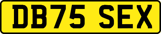 DB75SEX