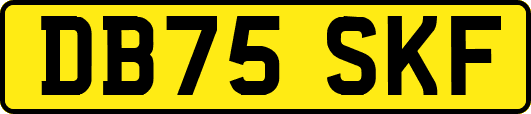 DB75SKF