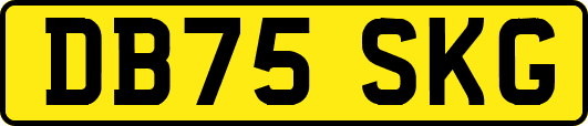 DB75SKG