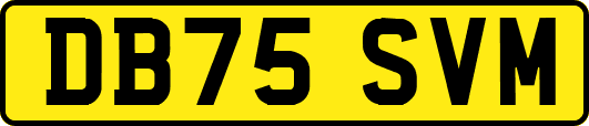 DB75SVM