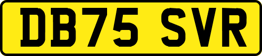 DB75SVR