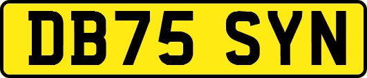 DB75SYN