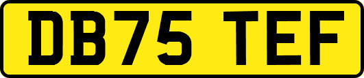 DB75TEF