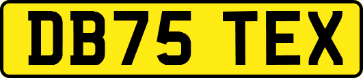 DB75TEX