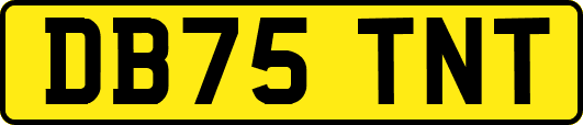 DB75TNT