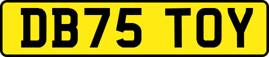 DB75TOY