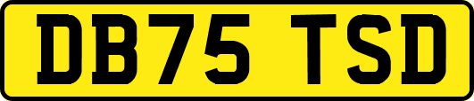 DB75TSD