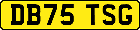 DB75TSG