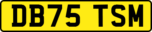 DB75TSM