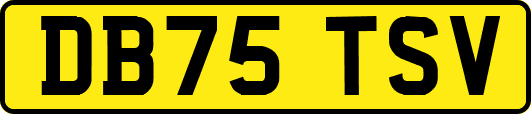 DB75TSV