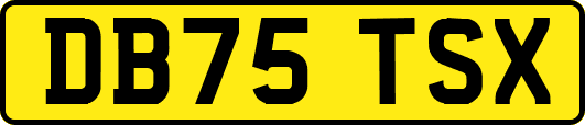 DB75TSX