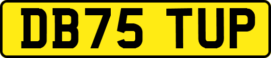 DB75TUP