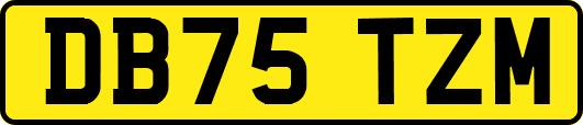 DB75TZM