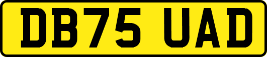 DB75UAD