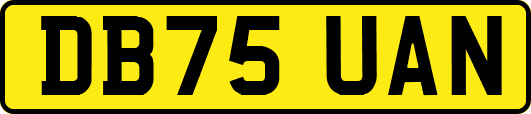 DB75UAN