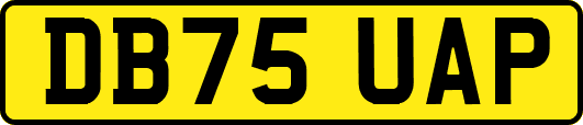 DB75UAP