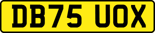 DB75UOX