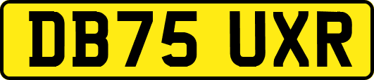 DB75UXR