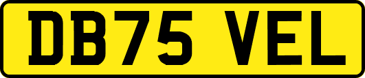 DB75VEL