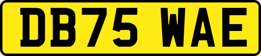 DB75WAE
