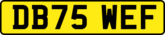 DB75WEF