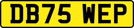DB75WEP