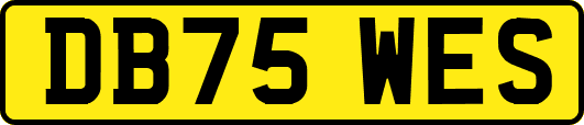 DB75WES