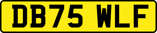 DB75WLF