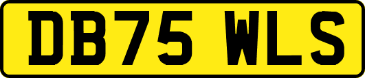 DB75WLS
