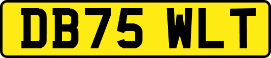 DB75WLT